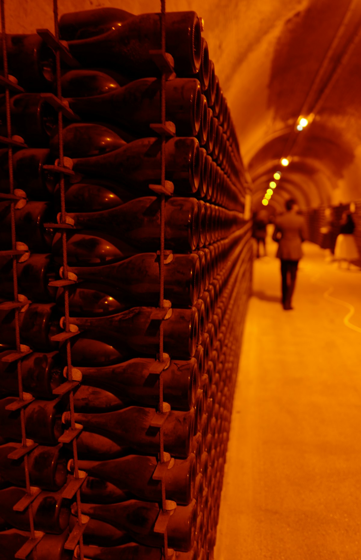 Wine bottles in a cellar
